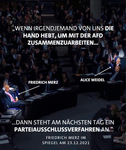 „WENN IRGENDJEMAND VON UNS DIE HAND HEBT, UM MIT DER AFD ZUSAMMENZUARBEITEN, DANN STEHT AM NÄCHSTEN TAG EIN PARTEIAUSSCHLUSSVERFAHREN AN.",
