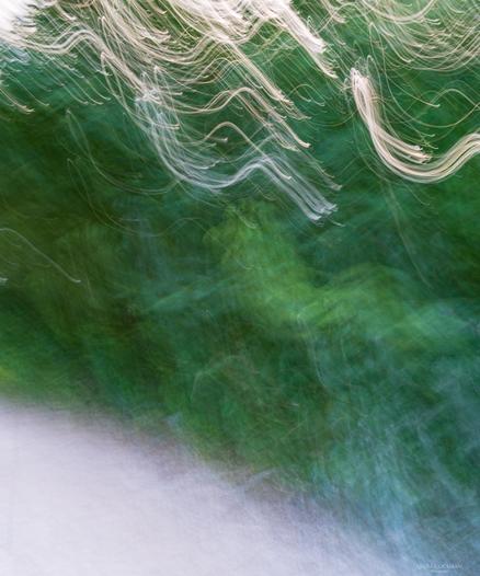An abstract photo of greens, whites and golds using camera movement.