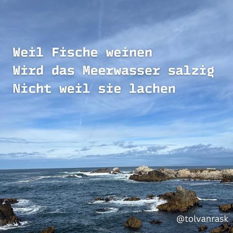 Weil Fische weinen
Wird das Meerwasser salzig
Nicht weil sie lachen

Hintergrund: Wellen, die sich an Felsen im Meer brechen