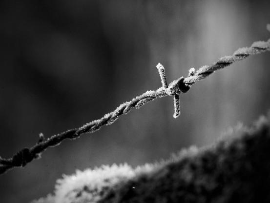 Il s'agit d'une photographie en noir et blanc montrant un gros plan d'un fil barbelé. Le fil est recouvert de givre. L'arrière-plan est flou, ce qui fait ressortir la texture et les détails du fil barbelé.