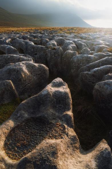 A section of limestone pavement known as Douk Cave Pasture, with its distinctive, undulating surface creating a captivating texture. The foreground features large, weathered limestone blocks, some of which rise sharply, while deep grooves separate them, adding to the rugged appearance. In the distance, Ingleborough mountain looms under a veil of mist, its summit partially obscured by clouds. The gentle light from the sun casts a warm glow across the scene, illuminating patches of grass that peek through the stone formations. The overall atmosphere is tranquil and atmospheric, showcasing the unique geological features of this landscape.