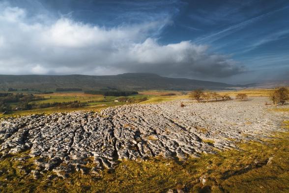 A sweeping view from just above Southerscales Scar, showcasing an expansive limestone pavement that dominates the foreground, its rugged surface marked by natural fissures and grooves. Beyond the pavement, rolling green fields stretch into the distance, interspersed with patches of woodland and a few scattered farmhouses. Whernside mountain looms majestically in the background, partially obscured by clouds, while the sky above features a mix of blue and grey, hinting at shifting weather conditions. A cluster of bare trees can be seen to the right, their silhouettes stark against the landscape, adding a sense of depth and scale to the picturesque scene.