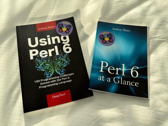 Photo of two books, one called Using Perl 6 and one called Perl 6 at a Glance.