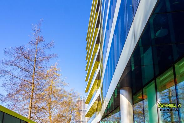 A modern glass building with yellow architectural details reflecting the blue sky and surrounding trees. The sleek facade and natural elements create a harmonious contrast between urban development and nature.