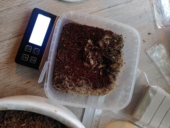 Bucket on a precision weight with mixed seed and moist Coco coir
