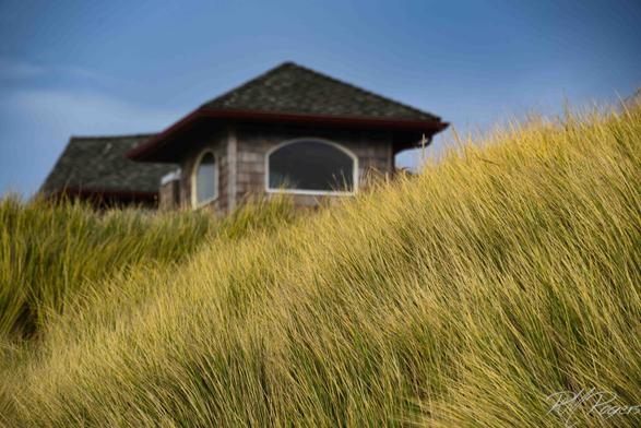 A house in the background against the sky framed by thick beach grass in the foreground.