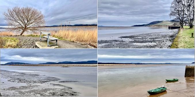 Top left: grey/pale blue bench in foreground on gravel path; pale yellow reeds: leafless, shapely brown tree to left; silvery estuary water, tide out, leading to dark green hills in background. Top right: grey, shallow estuary water; pale green, grassy, path and almost black leafless tree to the right; leading to estuary mouth and pale green and dark blue hills. Bottom right: two mid-green small boats sitting on shallow, sandy, estuary water;  glimpse of wall on right;  silvery estuary water leading to yellow reeds and dark green conifer woodland on far side of the water. Bottom left: shallow pale grey estuary water expanse; leading to pale yellow reeds on the far side of the water , and dark blue hills.