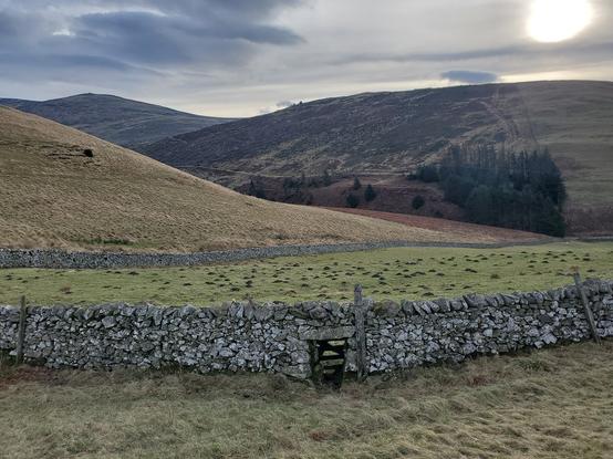 A drystone wall encloses a grassy field dotted with molehills. Above and behind it rise grassy and heathery hills. In the wall from the ground to about halfway up the wall is a square opening with a wooden gate blocking it.