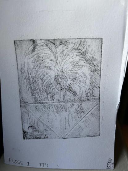 An intaglio etching of a very hair dog called Flossie portrait. She’s so hairy you can’t see her eyes