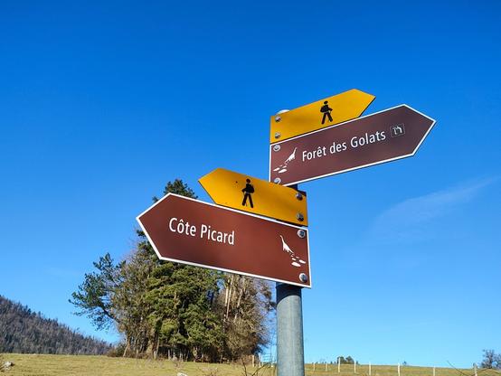 Panneau indicateur jaune de randonnée indiquant deux directions opposées, avec en-dessous des panneaux bruns avec un pictogramme de dinosaure.