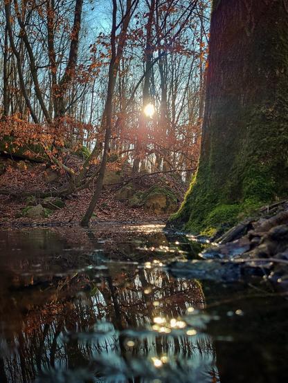 Frozen Lake in the woods. Reflecting Sun on water.