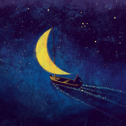 Illustration of a single sailor sailing off on a small dinghy into a moonlight ocean.

Credits: Roberto Weigand
