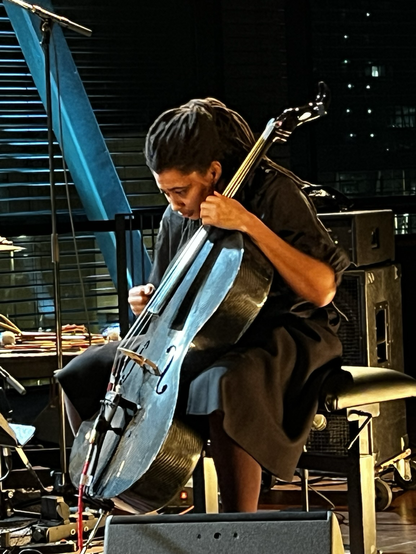 Tomeka Reid