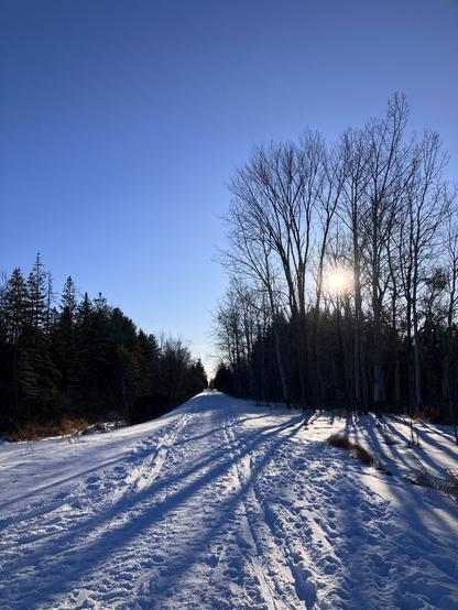 A snow covered trail in the afternoon, the sun low in the blue sky behind bare trees casting shadows across the path.