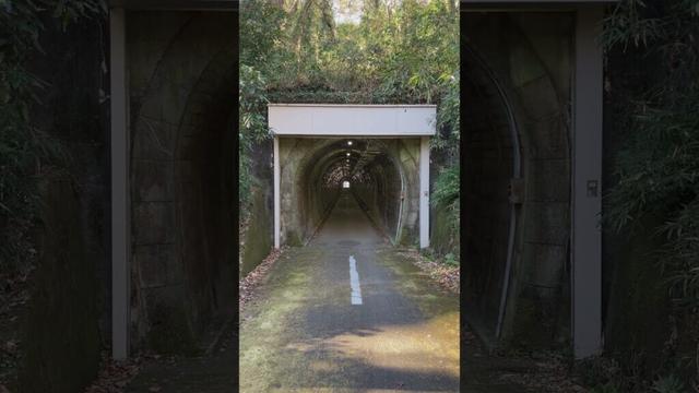 [武蔵村山市]野山北公園自転車道 赤坂トンネル(東側) #tokyo #travel #shorts