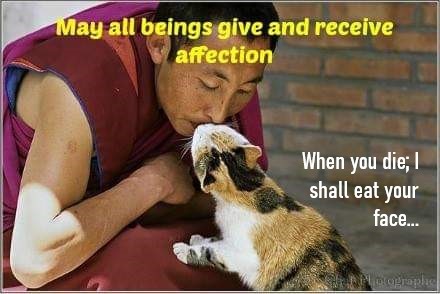 "May all beings give and receive affection..."