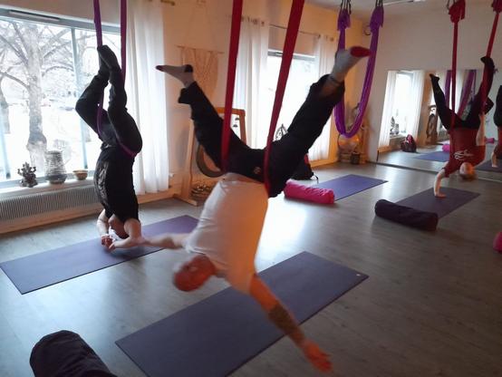 Harrastajat roikkuvat joogaliinoista pää alaspäin eri vaiheissa liikesarjaa.