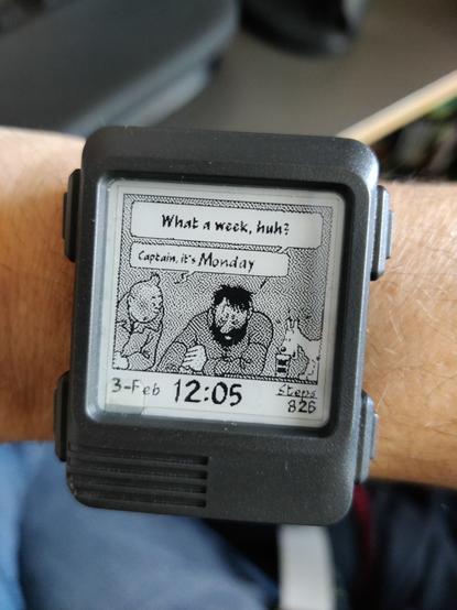 The Tin-Tin meme where Captain Haddock says "What a week huh?" and Tin TIn replies "Captain, it's Wednesday" except that this is on a watch face and is updated dynamically. So currently it shows "Captain, it's Monday" because today is in fact Monday.

The current date, time, and pitiful number of steps I've taken today are also displayed.
