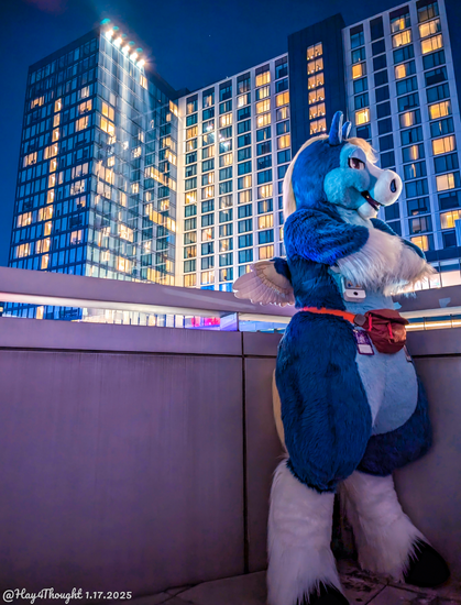 This is a full-body candid photo from Anthro New England 2025, of a blue pegasus fursuiter standing on an outside balcony at nighttime with the main tower of the Omni Hotel in the background. He's got his arms folded and is looking off to camera-right.