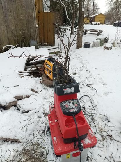 A snowy garden. A red and black electric garden shredder is in front, with some tree debris and snow. Some branches are currently being munched down by it, with the tips still sticking out. Behind is a yellow and black plastic generator sitting on an old tyre, generating the power for the shredder (to test the generator). Various junk is on the ground, mostly hidden by snow. A barn door is open in the background.