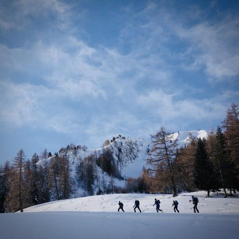 Cinq randonneurs à ski sur fond de forêt et de montagne enneigée et sous un ciel bleu légèrement voilé de nuages.