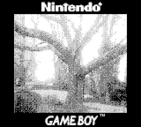 A low resolution black and white photo of a large tree with sprawling branches. It has no leaves. The square image has a black border with the words "Nintendo" above the image and "Gameboy" below.