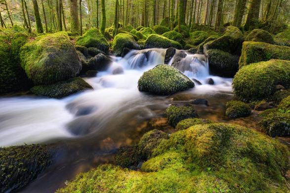 Zu sehen ist eine Wasserfallkaskade mit bemoosten Steinen und Eiszapfen in einer Waldszenerie mit vielen Bäumen