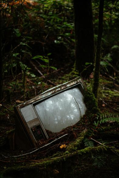 An old television being reclaimed my nature. 📸: Seabeck, Tumblr