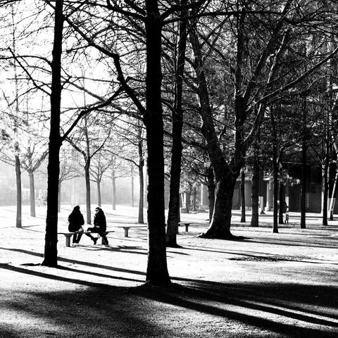 A black-and-white photograph of a tranquil park scene. The interplay of light and shadow is striking, with long, dramatic shadows cast by the bare trees onto the ground. In the foreground, two people are seated on a bench, deep in conversation, their figures silhouetted against the soft glow of the backlight. The trees, with their intricate, leafless branches, create a natural frame around the subjects. The atmosphere is serene and introspective, evoking a sense of quiet connection amidst the calmness of nature.