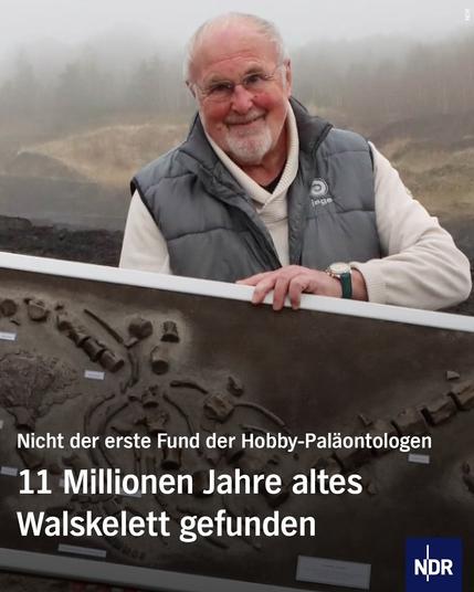 Bild: Ein älterer Mann hält ein präpariertes Skelett hoch.

Text: Nicht der erste Fund der Hobby-Paläontologen

11 Millionen Jahre altes Walskelett gefunden
