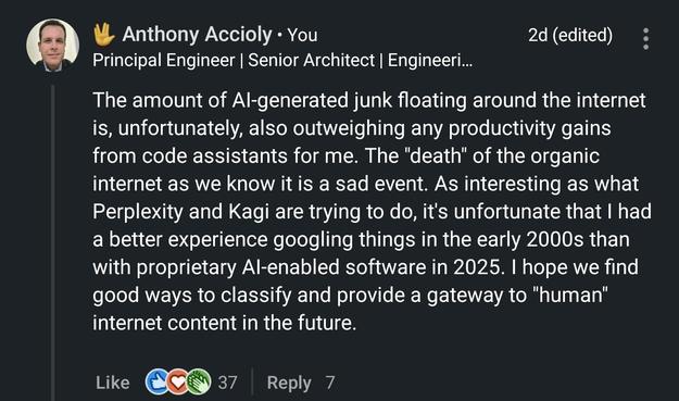 LinkedIn post with 37 reactions and 7 replies reading: "The amount of AI-generated junk floating around the internet is, unfortunately, also outweighing any productivity gains from code assistants for me. The "death" of the organic internet as we know it is a sad event. As interesting as what Perplexity and Kagi are trying to do, it's unfortunate that I had a better experience googling things in the early 2000s than with proprietary AI-enabled software in 2025. I hope we find good ways to classify and provide a gateway to "human" internet content in the future."