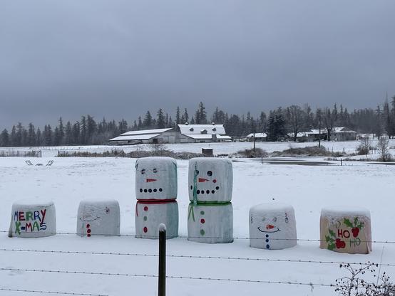 Eight bales of hay have been arranged into two snowman in the middle and two bales on each side. In Christmas colors.