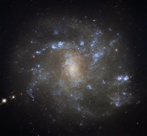 Hubble space telescope image of NGC 2500 -- a barred spiral galaxy located in the constellation Lynx. This barred a galaxy is imaged face on with a bright white area in the center with numerous arms that are dominated by blue stars. The background of the image is black.