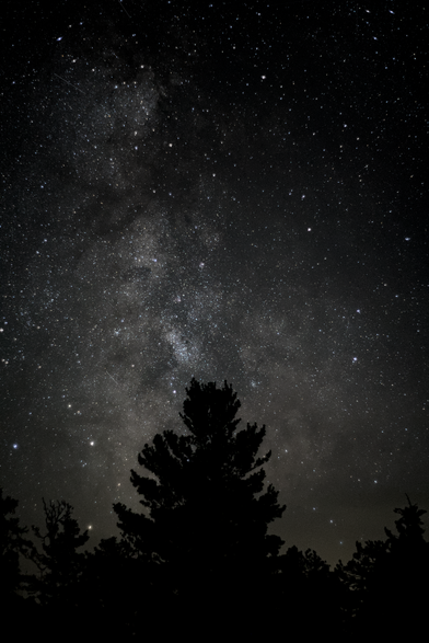 A  view of the Milky Way taken at Hess Nature Preserve in Presque Isle County, Michigan, in October 2024. The silhouette of tall pine trees frames the bottom of the image, contrasting against a star-filled sky. Countless stars shimmer across the night sky, with the dense star cluster of the Milky Way visible in the center.
