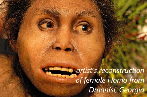 artist’s reconstruction of female Homo from Dmanisi, Georgia