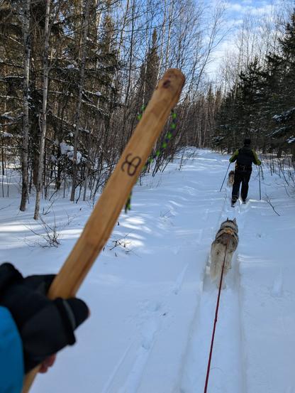Another shot by the skier from the first photo, showing his hand and the end of the stick out of focus on the foreground, with his husky leading, and another husky and skier down the trail further ahead. The stick has the "A.S." logo of Altai Skis burned on it, and a string loop.