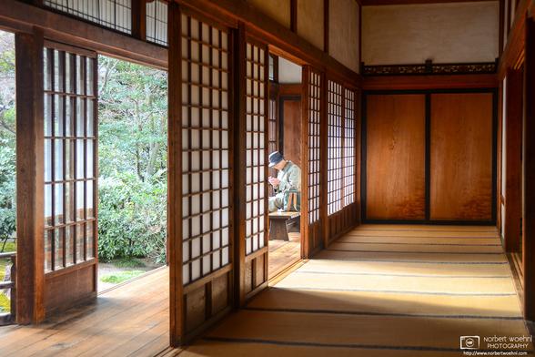 At one of the main halls of Kenninji Temple in Kyoto, Japan, an elderly man wearing a hat is seated on a bench and reading a book. He is seen from a position inside the tatami-floored hall, between Japanese-style sliding doors that are partially open, and allow a view towards a green Japanese garden. We can also see some of the hall's historic interior wooden architecture details.