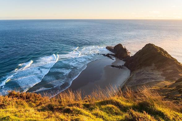 A golden hour view of Cape Reinga, the northernmost point of New Zealand, where the Tasman Sea meets the Pacific Ocean. The warm light casts long shadows over the grassy cliffs, highlighting the rugged coastline and swirling currents below.