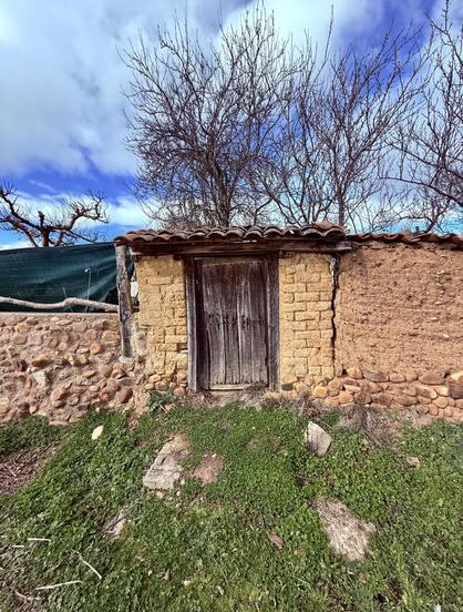 The photo depicts a rustic and weathered structure made of yellowish clay bricks and stones, with a wooden door that appears aged and cracked. The roof is covered with red clay tiles. In the background, bare tree branches reach toward a vibrant blue sky with scattered clouds. The foreground features a grassy patch with some rocks and patches of dirt, adding to the rural and natural ambiance. A green tarp and a low stone wall are visible to the left, enhancing the image of an old countryside setting in the province of Leon, Spain