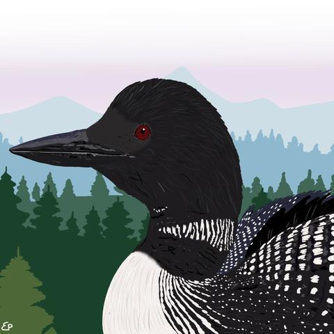 A common loon, a nearctic waterbird with a grey beak, red eyes, a black head, white belly and grey-black plumage with white dots, in front of a taiga background, cartoon style.