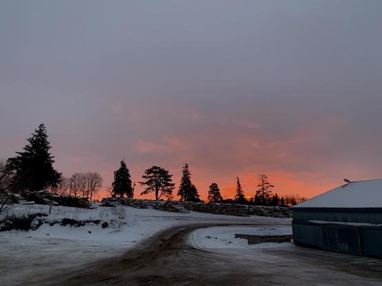 The slowly rising sunrise. There are peach and pink hues to the suns light against a greyish looking sky