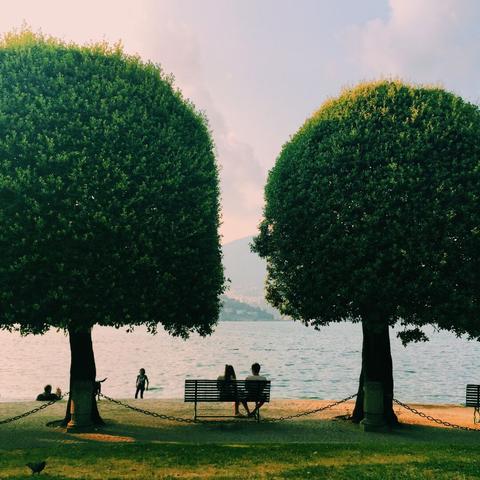 A photo of a couple sitting on a bench in front of Lake Como, in between two trees
