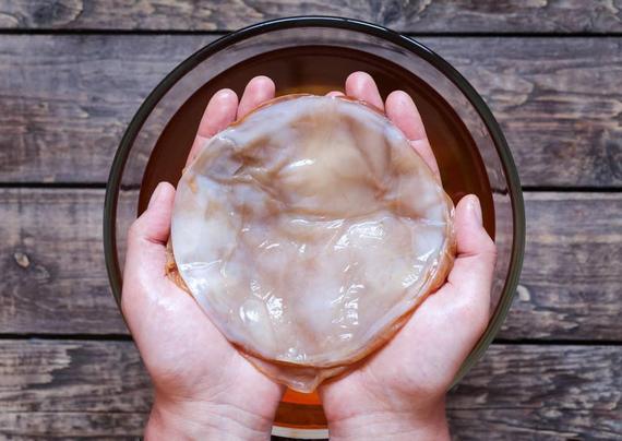 Stampare tessuti umani? Sorpresa, ci pensa il kombucha
