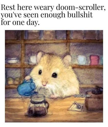 Rest here weary doom-scroller,
you've seen enough bullshit
for one day.

Picture of a cute rodent pouring a cup of tea or coffee