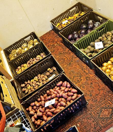Winter vegetables in crates on a carpet