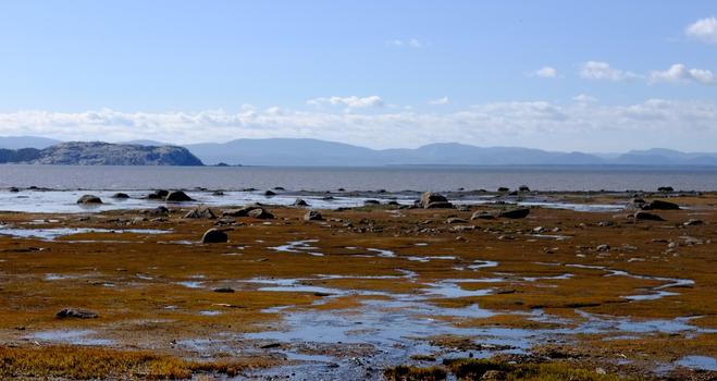 Looking across a very wide river, with the foreground and orange plant-covered mud as the tide is out.  Rocks amongsth the mud.  In the river ca be seen an island of granite, then hills over the far side in mist, spereating the layers of hills.  Coulds above the hills, but generally a blue sky.