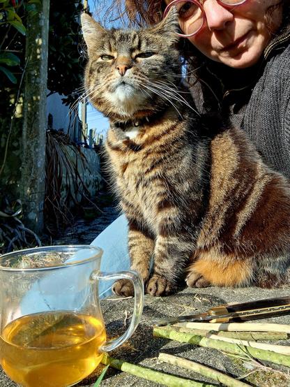 Griotte et moi préparant du sureau et profitant du soleil !