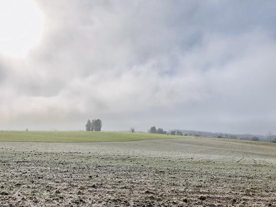 Paysage de prés blancs et gelés à l’avant plan, dégelés et plus verts à l’arrière. Sous un ciel partagé entre soleil et nuages.