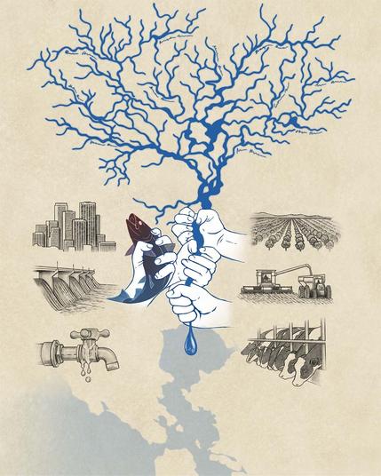 Illustration depicting river flows being diverted away from the Bay, and a Bay salmon struggling