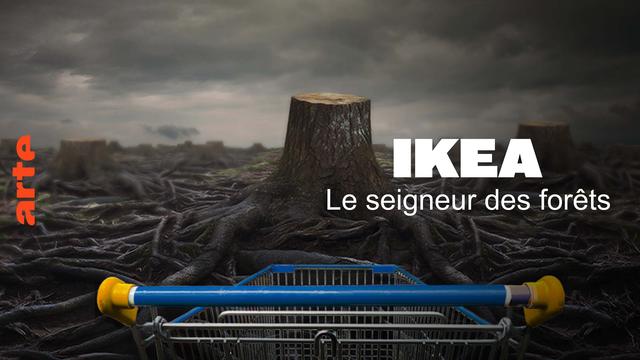 Vignette pour le documentaire :
Sous un ciel et dans une ambiance grise et plombante quelques troncs d'arbres coupés ressortent à peine d'une ce qui fut autrefois une forêt, depuis coupée à ras.
Au premier plan, un caddie de supermarché coloré, en vue à la première personne, comme si nous le poussions nous-mêmes.